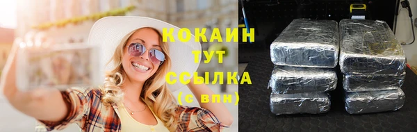 мескалин Богородицк