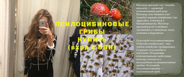 каннабис Богданович